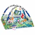 Коврик с игрушками Funkids Play Ground Gym, CC9038-1
