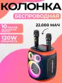 Портативная беспроводная музыкальная колонка Party 130 с микрофонами