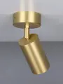 Потолочный поворотный светильник золотой (спот) brass светодиодный