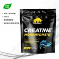 Креатин Моногидрат PRIMEKRAFT Creatine Monohydrate Micronized, Pure (Без вкуса), 500 гр / 100 порций