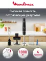 Погружной блендер Moulinex Infiny Force V2 DD944810 с 4 насадками