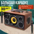 Караоке-система NOIR-Audio MAX-300 с двумя микрофонами и колонкой