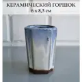 Керамический горшок для суккулентов и кактусов / Керамический горшок для цветов, Белый/синий
