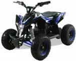 MOTAX Квадроцикл электрический Gekkon 1300W, черный/синий