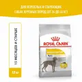 ROYAL CANIN MAXI DERMACOMFORT для взрослых собак крупных пород при аллергии (10 кг)
