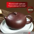 Исинский заварочный чайник Zisha, 320 мл, с фильтром в носике