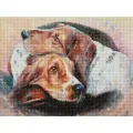 Алмазная мозаика Белоснежка Инь-ян / Набор алмазной мозаики 30х40 см / На холсте / Полная выкладка / Животные / Собаки