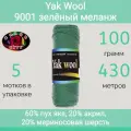 Пряжа Color City Yak wool 9001 зеленый меланж (100г/430м, упаковка 5 мотков)