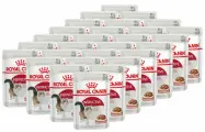 ROYAL CANIN INSTINCTIVE для взрослых кошек в соусе пауч 85 гр х 28 шт