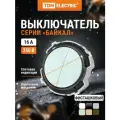 Выключатель 2-кл. 16А 250В кнопочный механизм фисташковый, Байкал TDM