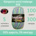 Пряжа Color City Kangaroo wool melange 808 (100г/300м, упаковка 5 мотков)