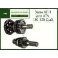 Валы КПП для квадроцикла с шестернями 3+1 ATV 110-125
