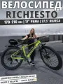 Велосипед Richiesto 424: для надежных и комфортных поездок