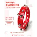 Кожаный ошейник с защитными шипами (обхват шеи 21-28 см.) для маленьких собак / Красный цвет