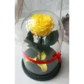 Роза Therosedome Premium, живая, в колбе, стабилизированный, жёлтая, 7-8см, 1шт