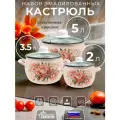 Набор эмалированных кастрюль, для индукционных плит, для газовых плит 2 л, 3,5 л, 5 л, с Рисунком букет пионов