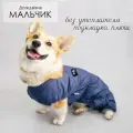 Комбинезон для собак утепленный, дождевик для собак Такса и Корги