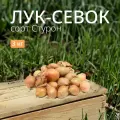Лук севок Стурон 3 кг. Урожай 2023