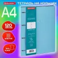 Тетрадь на кольцах большая А4 (240х310 мм), 120 л, под кожу, BRAUBERG VISTA, Пастельная, 404514