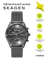 Наручные часы SKAGEN Holst, серый