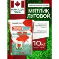 Мятлик луговой семена 100% Канада Грин 10 кг