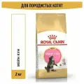 ROYAL CANIN MAINE COON KITTEN корм для котят породы мейн-кун в возрасте от 3 до 15 месяцев