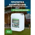 Пропитка антисептик для защиты бетона и дерева от биопоражений Антиплесень 5 л