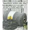 Пряжа BOUCLE ALPACA LANA 10 альпака, 20 шерсть, 15 мохер, 15 нейлон, 38 акрил, 2 спандекс 100гр./900м цв.54 полынь (250гр.)