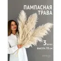 Пампасная трава высокая 70 см, Сухоцветы для декора ARANTA, 3 ветки
