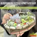 Флорариум с суккулентами Сердце Кристалл бол.