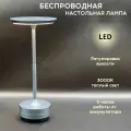 Беспроводная настольная лампа светодиодная с аккумулятором FEDOTOV 3000К серая