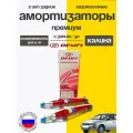 Амортизаторы задние 2шт для Лада Калина под пружину с заниж. -30 газ/масло DEMFI Премиум
