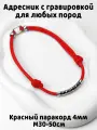 Украшение. Тихий адресник с гравировкой. Жетон 50мм на шнурке 4мм. Красный М