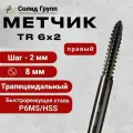 Метчик машинно-ручной трапецеидальный TR 6 шаг 2 мм, правый (TR6х2), 1 шт
