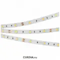 016890 Лента RT 2-5000 12V Cool 8K (5060, 150 LED, LUX) (ARL, 7.2 Вт/м, IP20)
