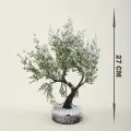 Настольная фигурка Деревце 20х27 см
