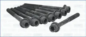 Комплект болтов ГБЦ Ajusa 81047800