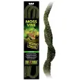 Лиана зеленая гибкая Exo Terra Moss Vine Large 1,5x1,5x182 см, для террариумов