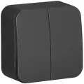 Выключатель двухклавишный антрацит, 10А, 250B, Systeme Electric Blanca