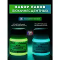 Лак люминесцентный универсальный VESTA PROFESSIONAL набор из 2 цветов - по 100 мл