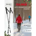 BRADEX телескопические Нордик Стайл, 2 шт., черный