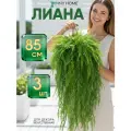 Искусственная лиана, декоративные цветы для декора, зелень искусственная 3 шт.