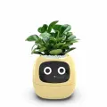 Умный горшок Zoeydam, Ivy, YELLOW, для настольного компьютера