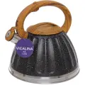 Чайник из нержавеющей стали 3,2л «Vicalina», черный, стильный и удобный