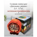 Солевая лампа Wonder Life Круг 6 дюймов, настольная, с картинкой из дерева денежное дерево