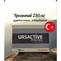 URSACTIVE PHARMACTIVE / Урсактив 250МГ 100шт капсул