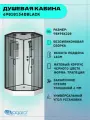Душевая кабина Niagara Premium NG-6901-01D BLACK (90х90х220) низкий поддон(16 см), черный, стекло тонированное,4 места