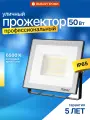 Прожектор светодиодный Ritter 50Вт уличный, холодный свет 6500К, IP65, серия PROFI 53408 6