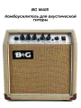BG WA15 - Комбоусилитель для акустической гитары