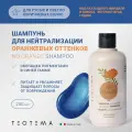 Шампунь для нейтрализации оранжевых оттенков No Orange Shampoo, 250 мл